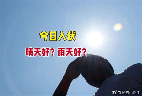 怕6|今日入伏，民间说入伏有“6怕”，分别指什么？老话有道理吗？